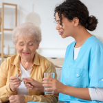 Sindnapi - Sindicato Nacional dos Aposentados, Pensionistas e Idosos