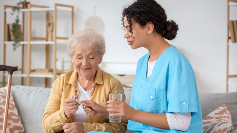 Sindnapi - Sindicato Nacional dos Aposentados, Pensionistas e Idosos